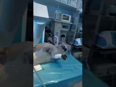 (Siehe Abschnitt 3.3.1)